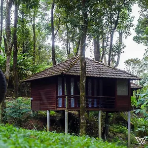 Lantern - A Wandertrails Showcase , Meppadi India